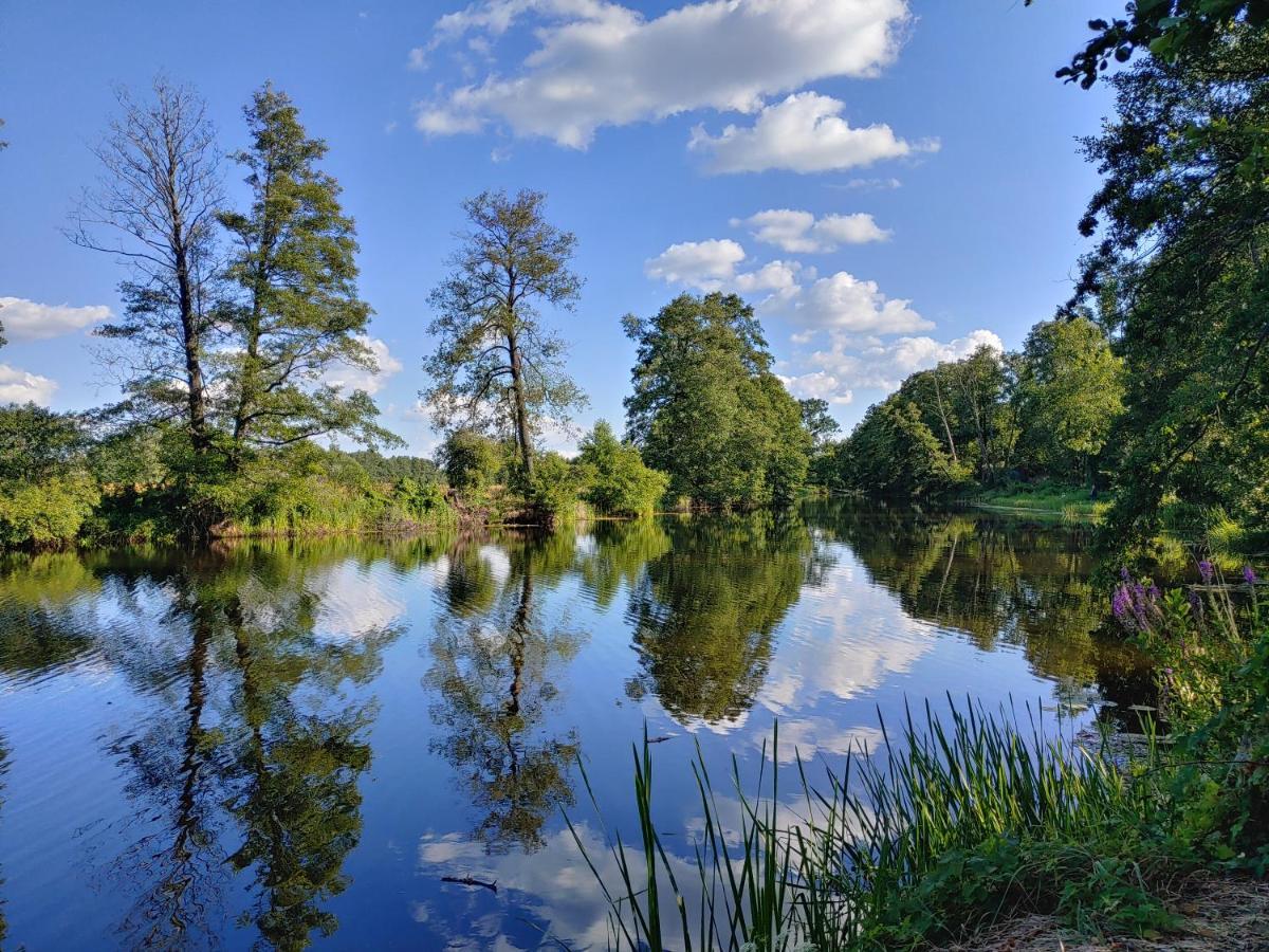 فيلا Masuria Warsaw Skrzeszew المظهر الخارجي الصورة