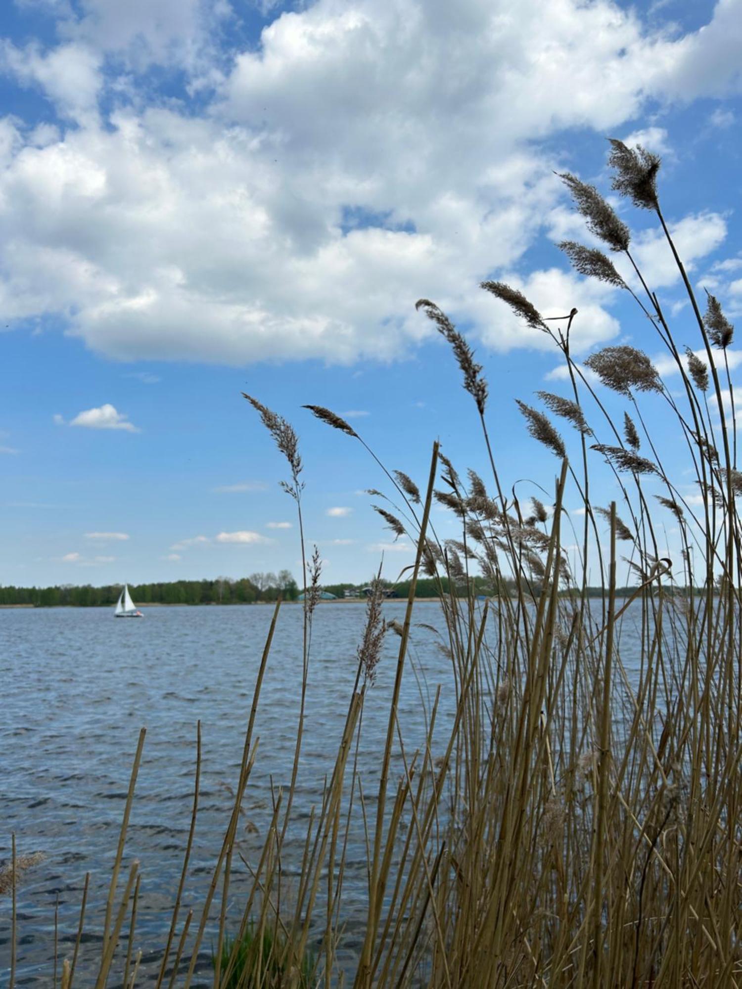 فيلا Masuria Warsaw Skrzeszew المظهر الخارجي الصورة