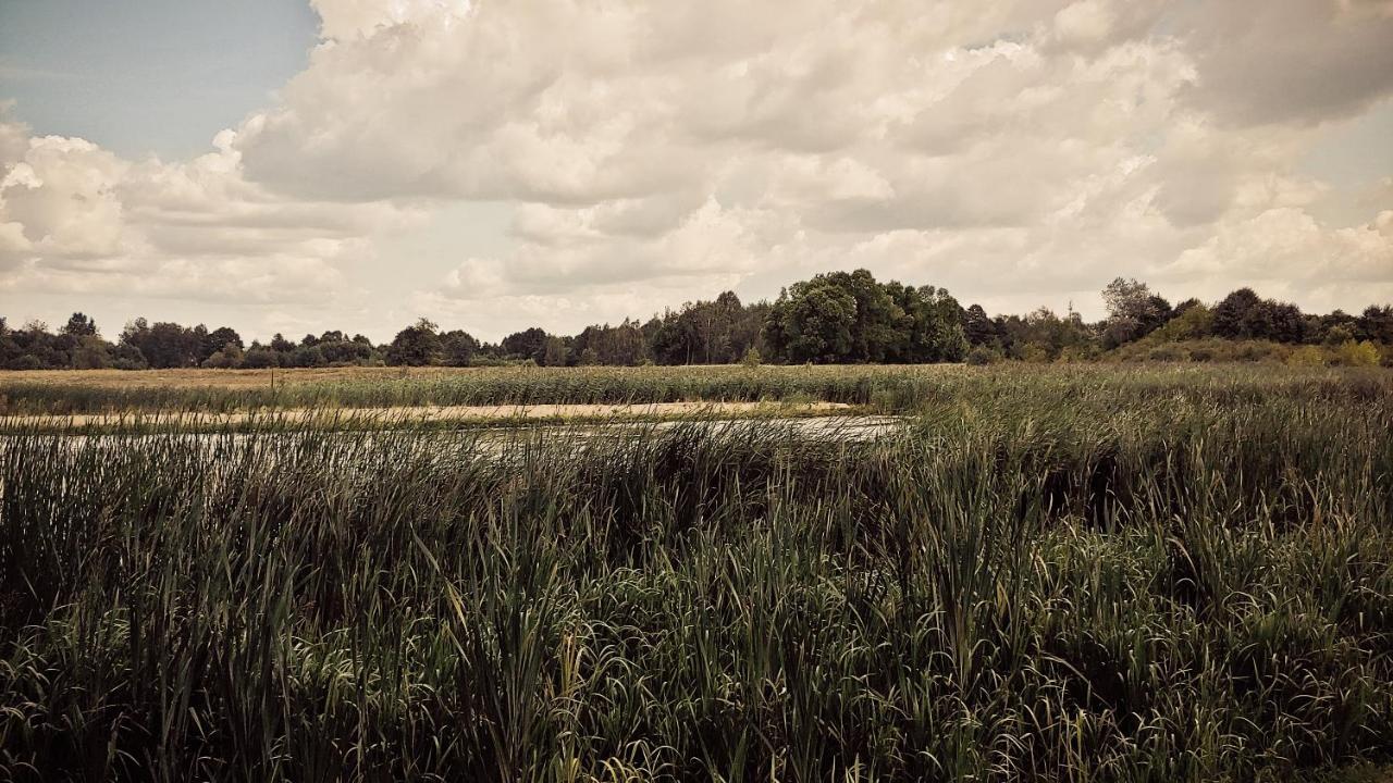 فيلا Masuria Warsaw Skrzeszew المظهر الخارجي الصورة