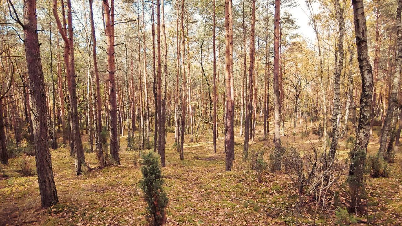 فيلا Masuria Warsaw Skrzeszew المظهر الخارجي الصورة
